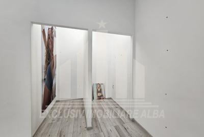 Spatii comerciale | De inchiriat | Ultracentrale - 11