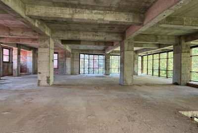 REC3001458 Stefen cel Mare l Spatiu comercial l 1450 mp - 7