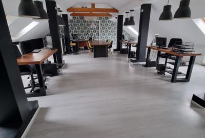 Spatii de Birou la Cheie - 1