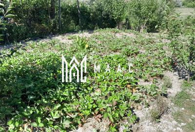 Casa individuala | 4 camere | Teren 2000 MP | Seica Mare - 5