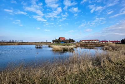 Oportunitate Unică! Teren de 35 Ha la 10E/mp cu Lacuri Medicinale și Acces Deltă - 1