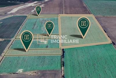 Teren agricol de 11,75 ha de vânzare, la 1,5 km de Turnu, jud. Arad - 3