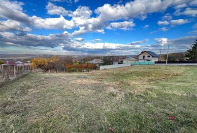 Teren Constructii - Voinesti - 1