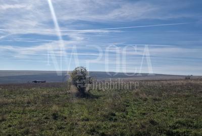 Teren extravilan agricol de vanzare in Iris, Cluj Napoca - 2
