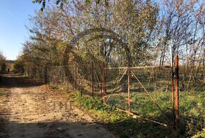 Teren intravilan de vanzare | 12.650 mp | Ghirdoveni, | Comision 0% - 9