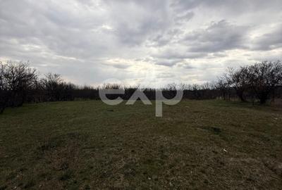 Teren intravilan 3052 mp | Băcești, Drăganu | asfalt | utilități la poartă - 3