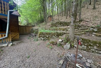 Cabana 5 camere, 75 mp| teren 900 mp| zona Iezer Ighiel - 12