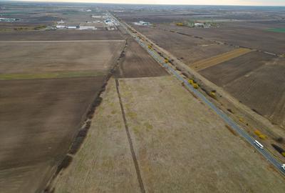 Teren 22.500 mp – Pecica, jud. Arad - 4