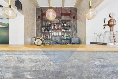 Afacere de vanzare, restaurant Gradina Icoanei - 9