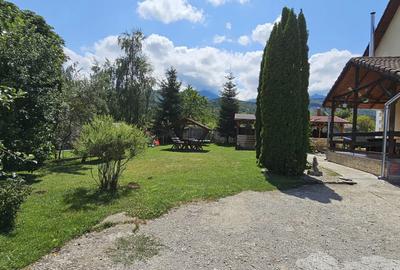 CASA VACANTA-zona pitoreasca minunata - 18
