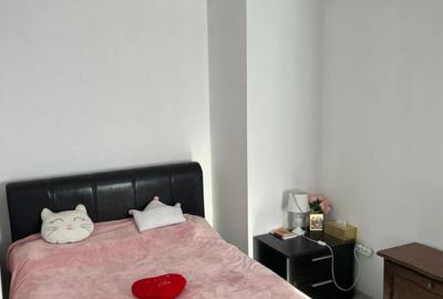 Apartament cu 2 camere semidecomandat, mobilat în Tineretului
