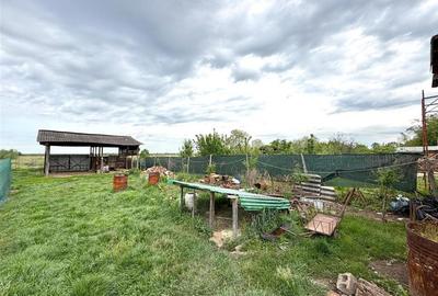 CASA CU TEREN 1081 MP | ACCES AUTO | ZONA SACUIENI | LOCALITATEA CADEA | BIHOR - 25