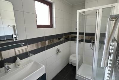 LAC MOGOSA, vila D+P+E+M cu 3ari teren! - 8