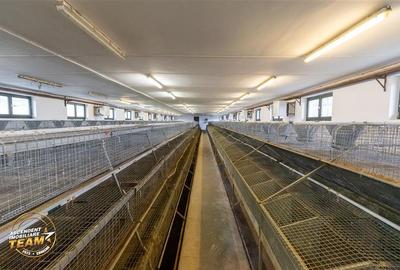 FILM! Ferma de iepuri,Malnas,Covasna: domeniu:industrial/comercial,asset UE - 16