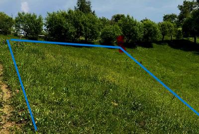 Teren agricol extravilan de 2686 mp, în Peștera