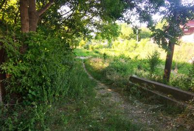 Central . 1200 mp la 1,4 km din Podu de Fier , toate utilitatile 191 EURO / MP - 3