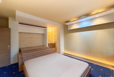 Apartament mare si spatios - Unirii - Anastasie Panu - Centrala proprie! - 11