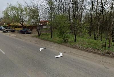 Teren intravilan Malu-Spart 5000 mp- 20€/mp - 4