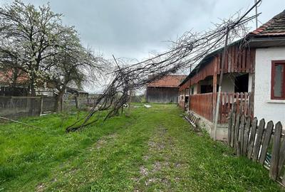 Comision 0%Casa traditionala, la 25 km de Brasov - 3