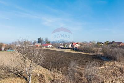 Teren intravilan 9.000 mp pentru dezvoltare rezidențială sau mixtă - 13