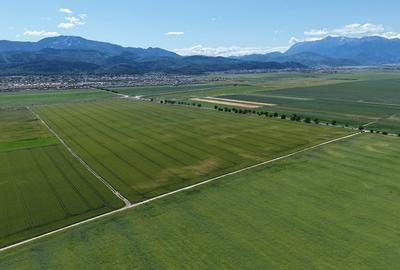 Teren de vânzare într-un ansamblu rezidențial nou! - 5