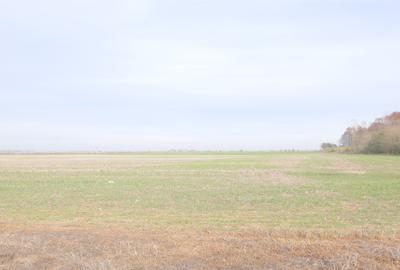 Unicat ! A3 - Gherghita, 27 Ha. teren intravilan cu PUZ aprobat - 4