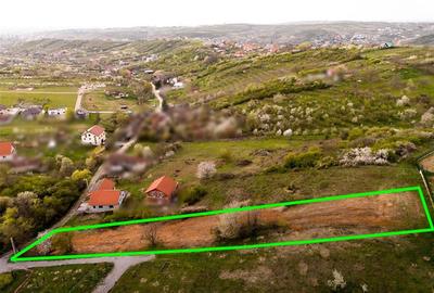RECO Teren intravilan in Oradea 2086mp - 6