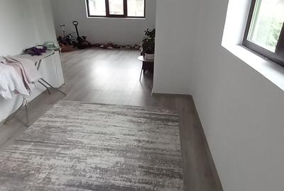 Vanzare proprietate- casa si teren Gheboieni Dambovita - 4