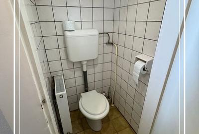 Vila renovat de vanzare D+P curte proprie 774 mp, semicentral Arad - 23