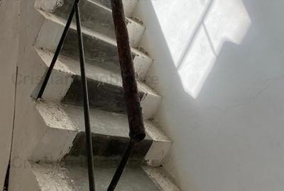 Vanzare sau inchiriere Cladire cadre beton  743 mp Movila Miresii teren 7354 mp - 14