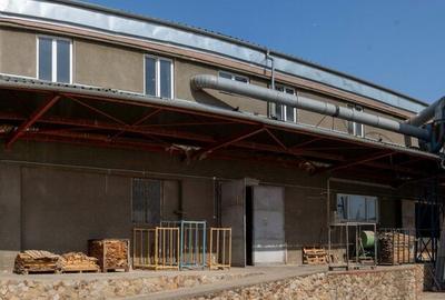 De vazare Hale industriale, pretat depozit, productie, curte proprie - 5