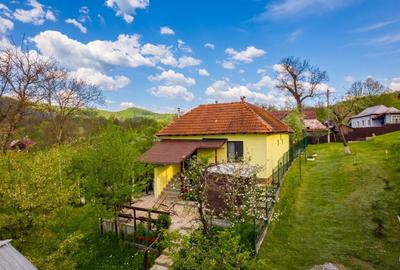 Provita de Sus, Prahova, Casa renovata, Comision 0 % - 34