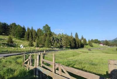 Teren PIATRA FANTANELE - 11.800 mp- ideal investitie, pensiune, hotel - 1