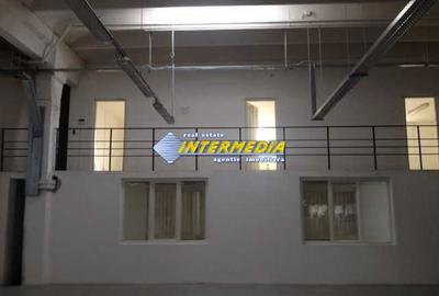 Hala de inchiriat in Alba Iulia in suprafata de 2800 mp cu toate utilitatile - 9