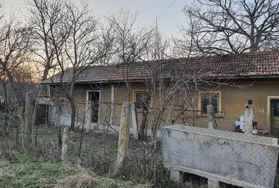Vand casa si teren 600 mp Com. Scrioastea  langa Rosiori de Vede - 4