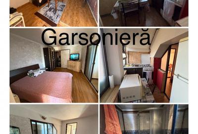 Casa 4 Camere/ Apartament 2 Camere/ Garsoniera/ Soseaua Chitilei/ Curte - 16