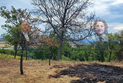 Teren generos 2186 mp cu casă bătrânească – Copăcești, județul Vrancea - 3