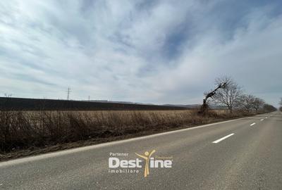 Teren Construcții intravilan de 1300 mp, în Căciulești