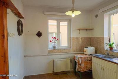 Lunei - Ion Neculce, 2 Apartamente. Mansarda 157 mp. Anexe, Lot 475 mp - 19