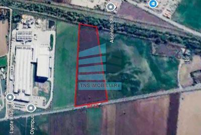 Teren 50.000 Mp, Brasov-Halciu - 6