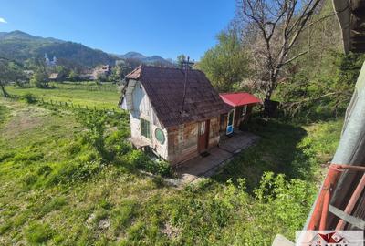 Vanzare casa in Muntii Apusenii - Ocolis - 4