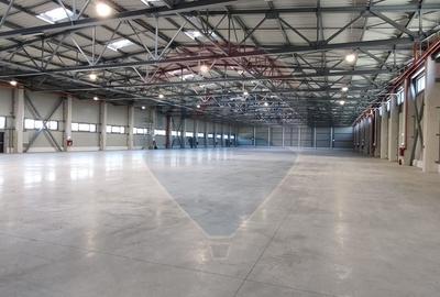 Spațiu industrial de 875mp de închiriat în zona Exterior Vest - 2