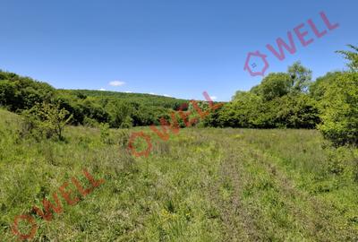 De vânzare teren intravilan de 30 000 m² (3 ha) în Reghin - 7