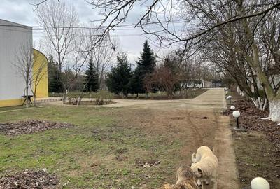 Casa de vanzare la 5 min de Centru cu trei nivele (D+P+1) si teren de 4300mp - 40