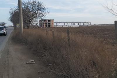 Terenuri intravilane de vanzare Focsani ,4,5 Ha Focsani - 8