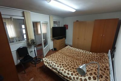 TEREN 565 MP, CASA SI PISCINA - 7