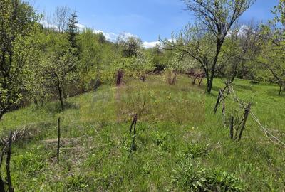 Teren cu Casuta de lemn in Sotrile (langă Valea Doftanei) - 12
