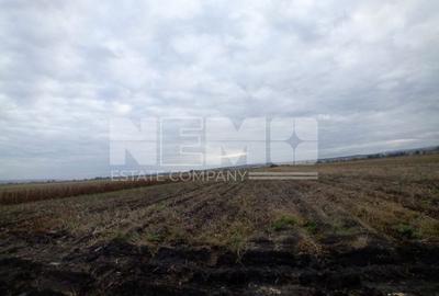 TEREN | Radauti | 6.000 mp | 62.800 EURO - 5