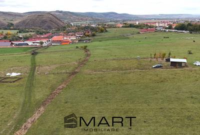 Teren  extravilan 2200 mp in Orlat - 1