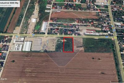 Teren 5.000mp Balotesti cu autorizatie hala - 1